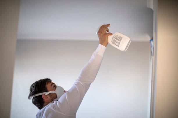 Best Mold Removal Process  in Clermont, IN